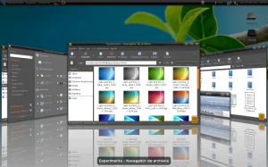 compiz-1